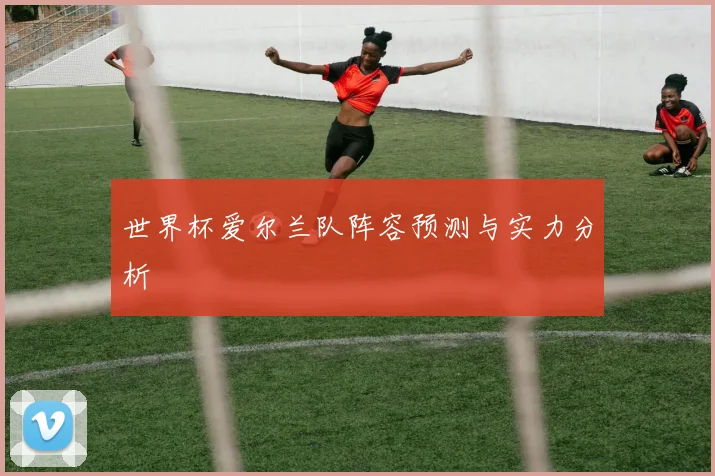 世界杯爱尔兰队阵容预测与实力分析