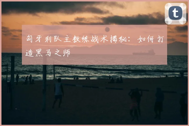 匈牙利队主教练战术揭秘:如何打造黑马之师