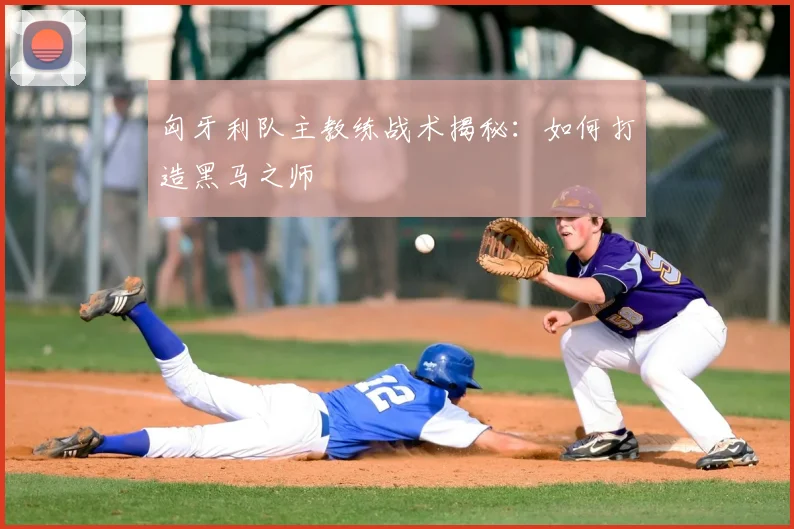 匈牙利队主教练战术揭秘：如何打造黑马之师